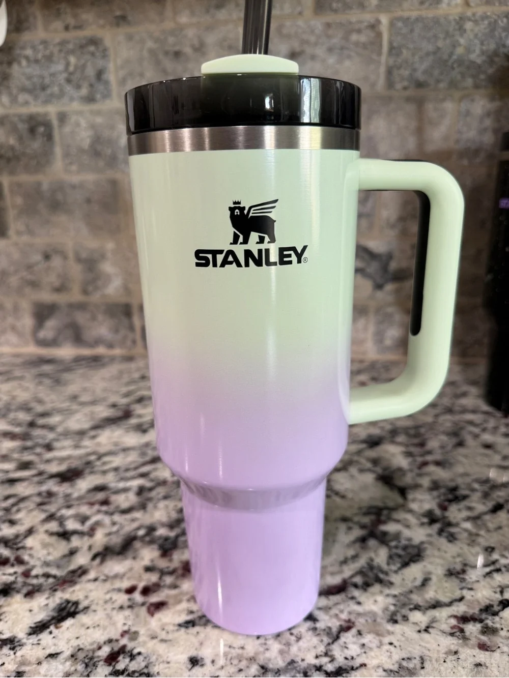 40oz Hypnotic Green Halloween Stanley Quencher Target Exclusive 2025 - Picture 2 of 7